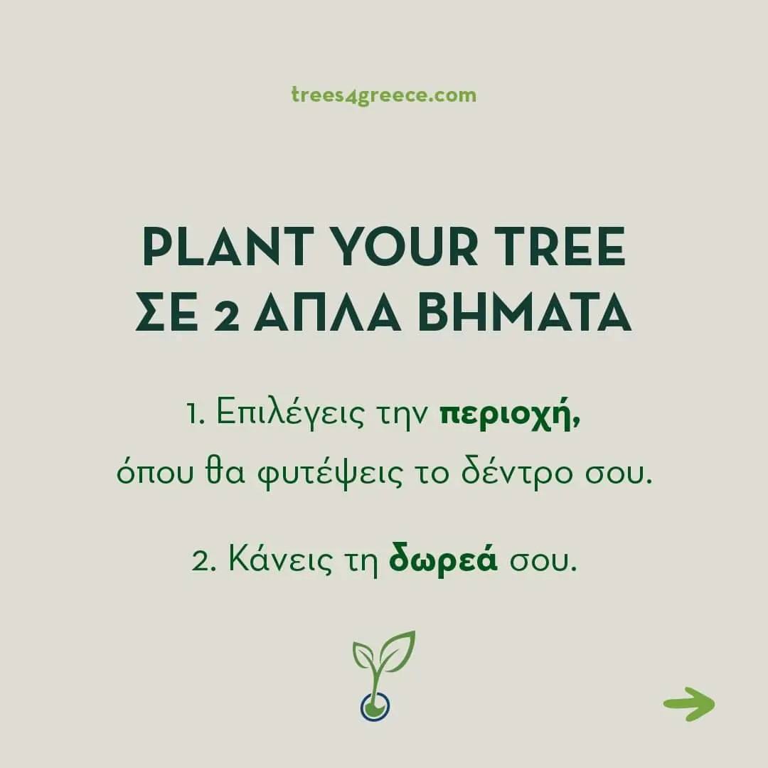Trees4Greece - Plant your tree