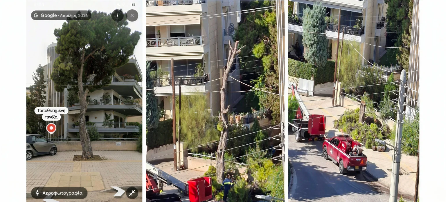 Αναστάτωση προκάλεσε η κοπή πεύκου στη Βούλα